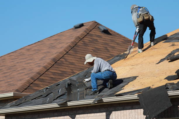 Best Asphalt Shingles Roofing  in Oakland, MD
